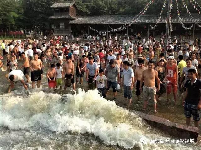 临沂国际影视城第八届板栗文化节，免费板栗等你捡