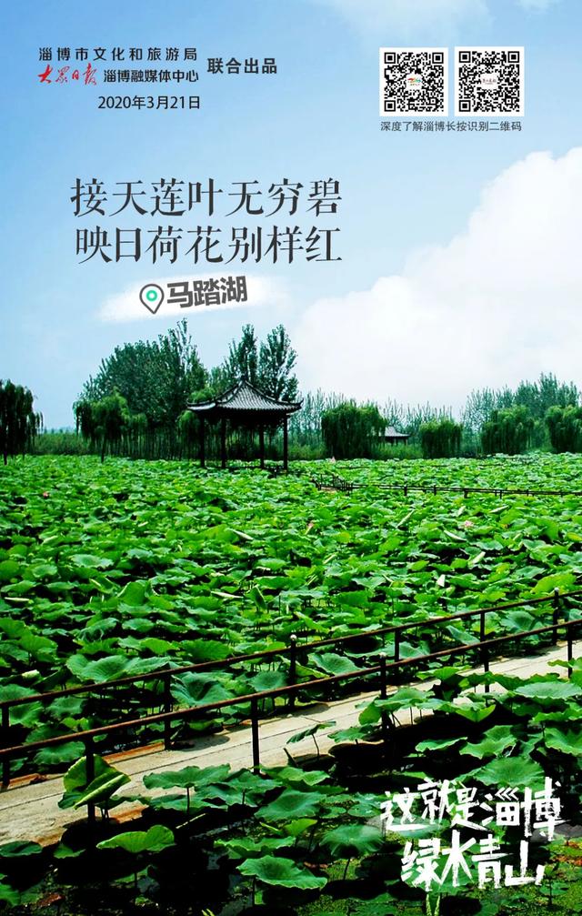 淄博这些地方火遍全国!大力实施文化赋能,淄博频频发力