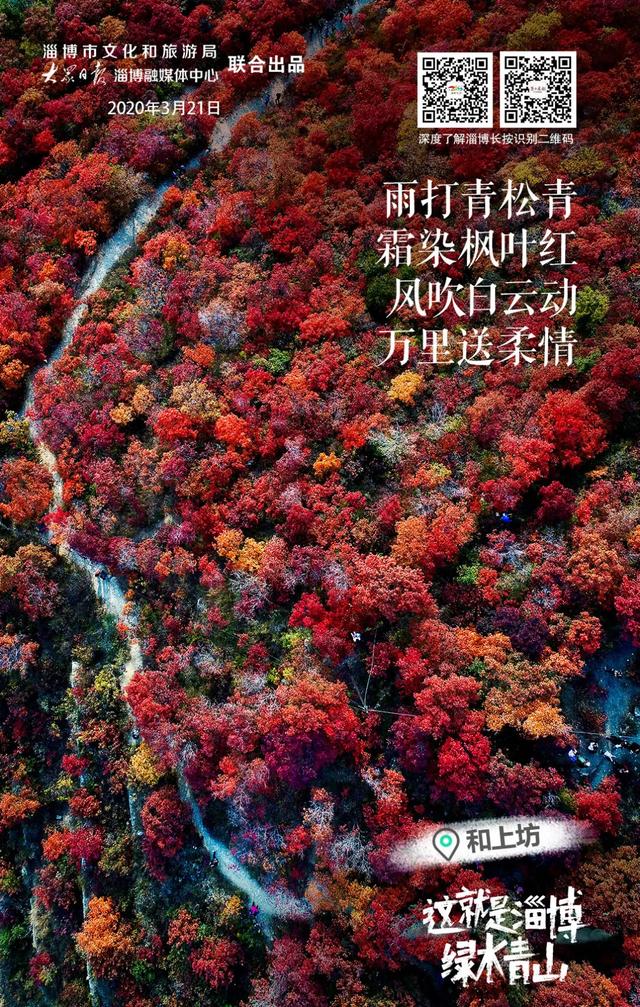 淄博这些地方火遍全国!大力实施文化赋能,淄博频频发力